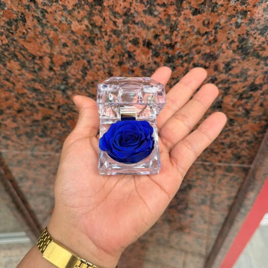 (Mini) Rosa Preservada Azul 5cm
