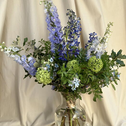 RAMO PREMIUM DE DELPHINIUM