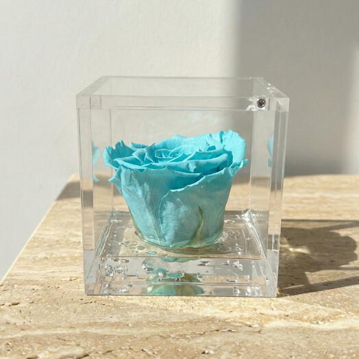 Scented Blue Eternal Rose in Transparent Box – Premium Stabilized Flower