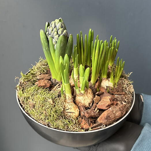 Flores de Primavera Pequeñas