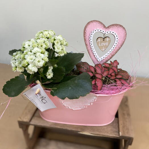 Підставка для рослин у формі рожевого серця