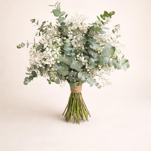 Ramo De Eucalipto y Paniculata