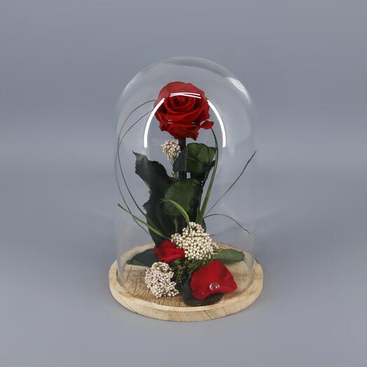 Rosa preservada roja en cupula de cristal y madera