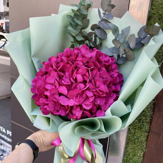 Eucalipto   Fucsia