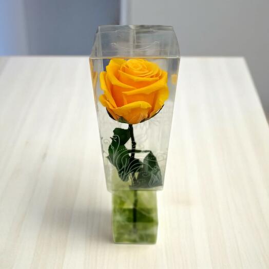 Rosa Eterna Amarilla Corta en Estuche Decorativo – 30 cm
