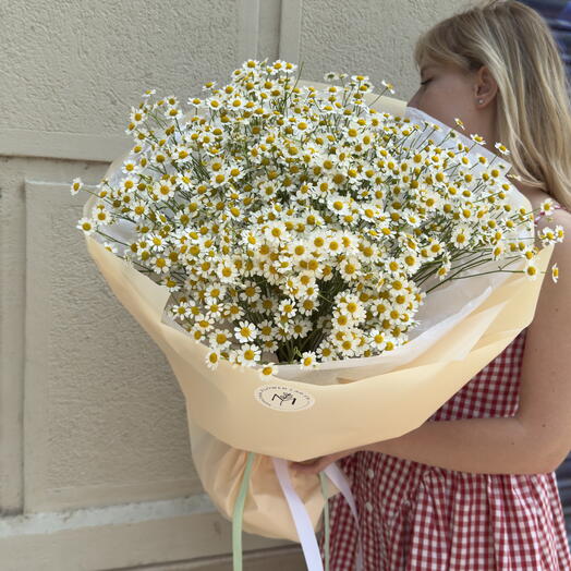 Ramo de margaritas L