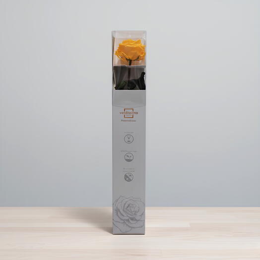 Rosa preservada premium amarilla