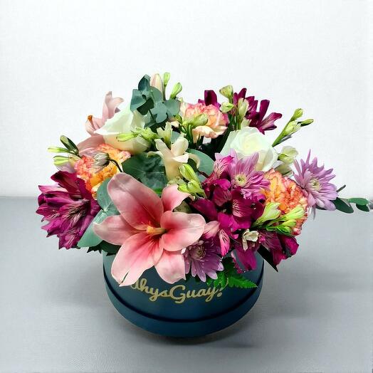 Box primavera