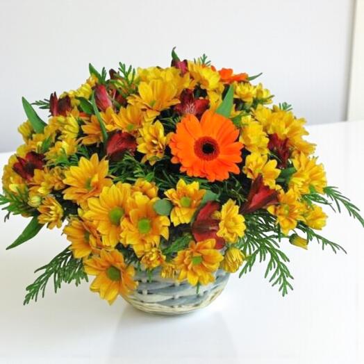 Cesta Primaveral con Margaritas y Gerberas – Arreglo Floral en Canasta