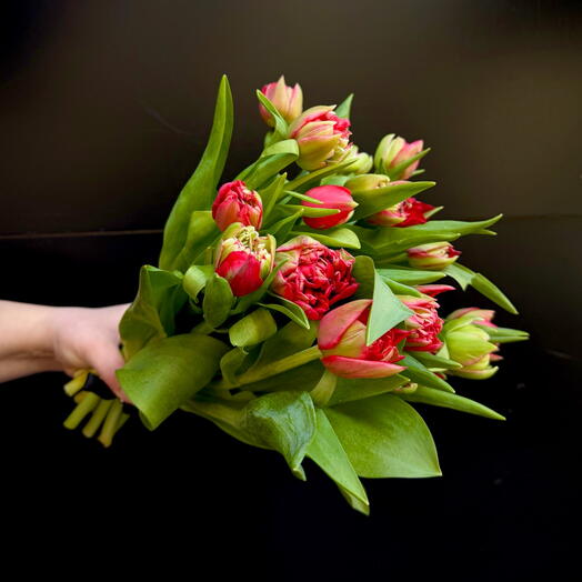 Ramo de tulipanes rojos velvet