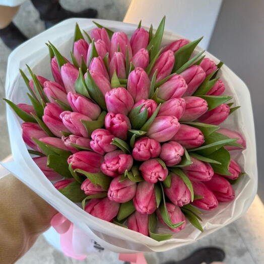 60 preciosos tulipanes