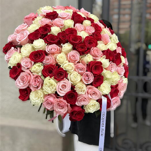 105 rosas de tres colores