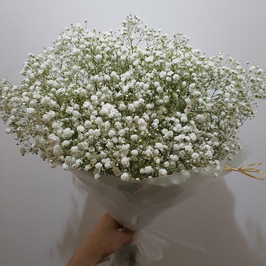 Ramo de paniculata