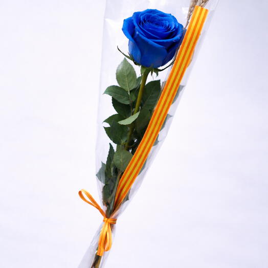 Rosa azul Sant Jordi