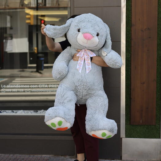 Conejo Gigante 🐰