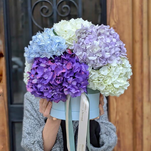 Hydrangeas Box – Ramo de Hortensias en Tonos Pastel