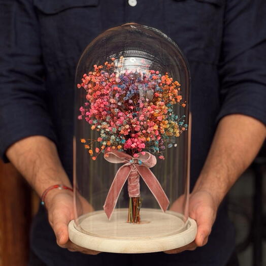 Cupula Rainbow Whisper