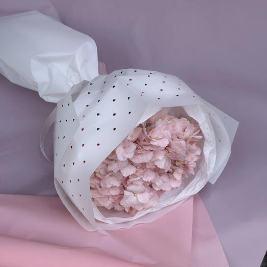 Hortensia 🌸 nube rosa S