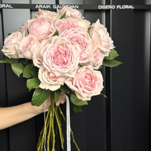 Rose Princess Hitomi David Austin