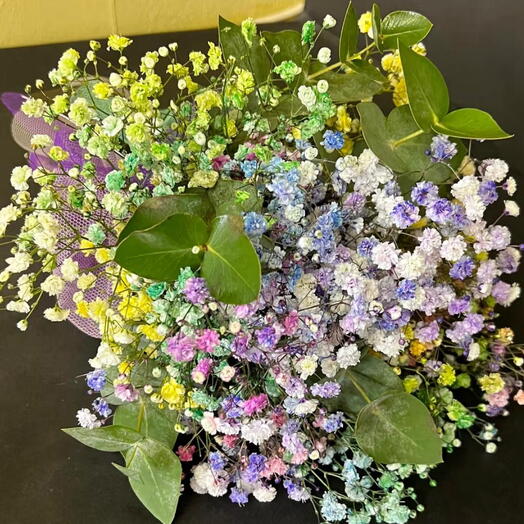 Paniculata cloud