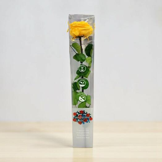 Rosa Eterna Amarilla Premium – Edicion Especial Verdíssimo
