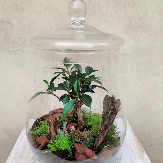 A garden of feelings terrarium