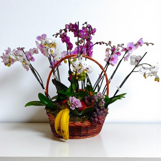 Cesta de Orquideas con Fruta – Elegancia y Frescura Natural