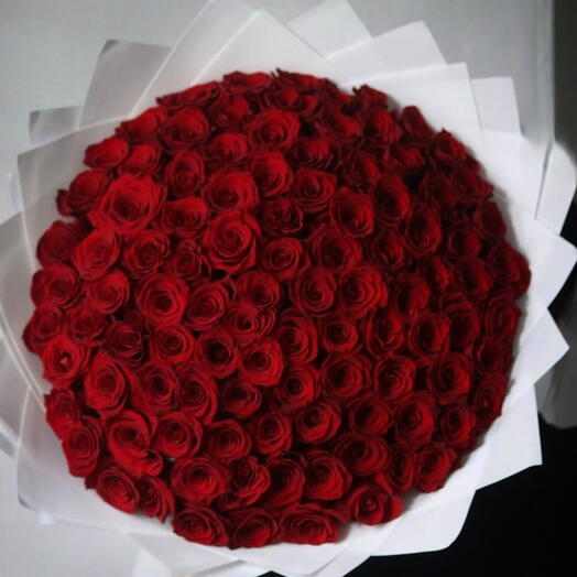 101 rosas rojas