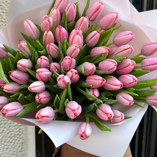 50 tulipanes