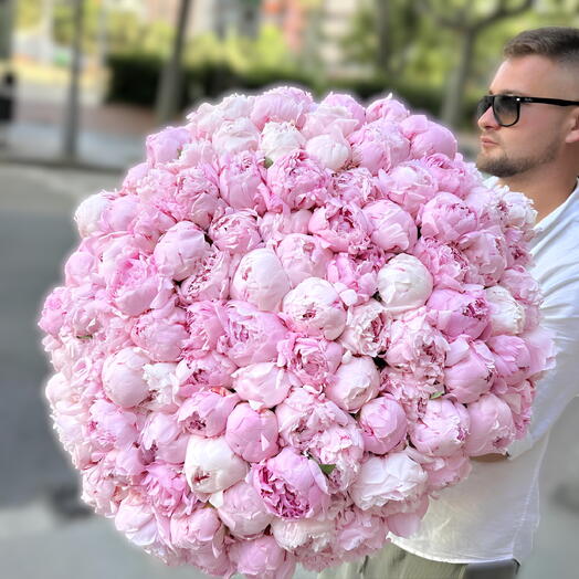 101 peonias