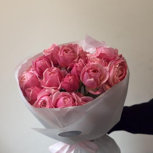 13 Peony Pink Roses