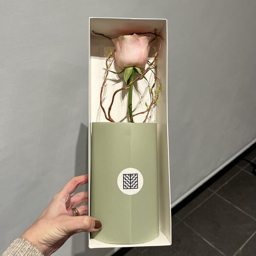 Rose-10