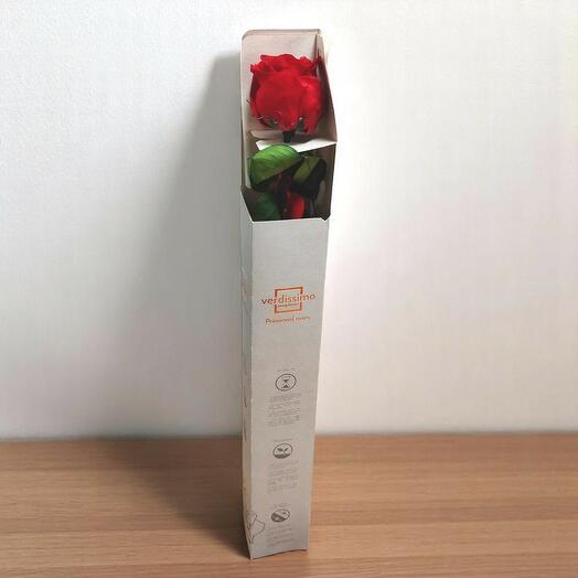 Rose Éternelle de la couleur que tu veux