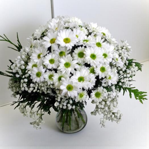 Ramo de Margaritas Blancas con Paniculata – Elegancia Clasica