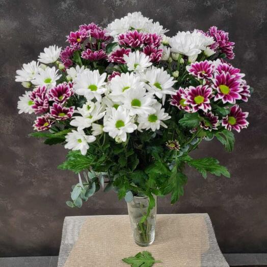 Ramo de 10 tallos de margaritas