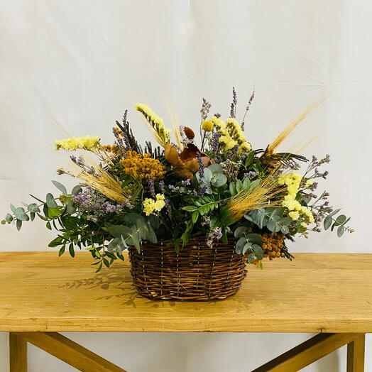 КОШИК МІМОЗА