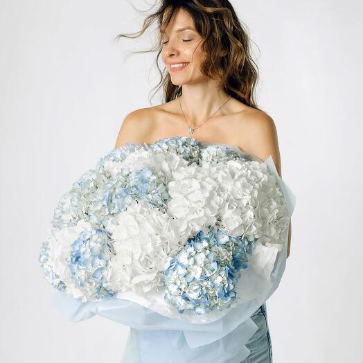 Bouquet of blue and white hydrangeas XXL