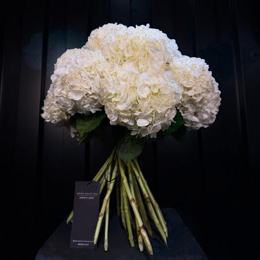 Ramo Blanco Hortensia De Araik Galstyan