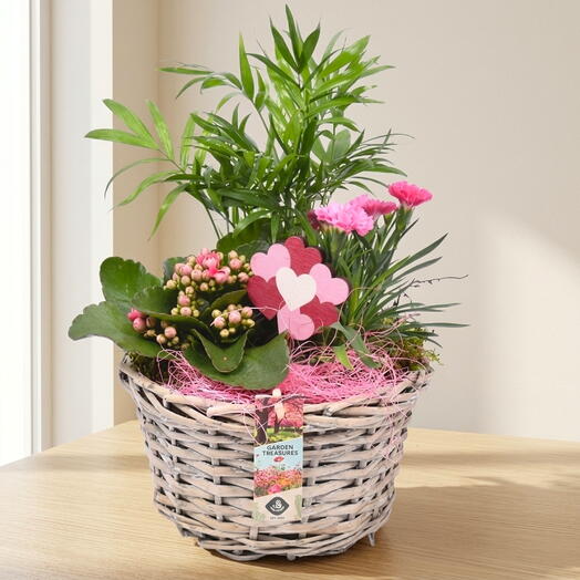 Jardin Fresco en Cesta