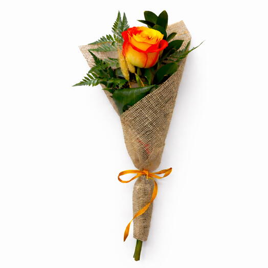 Rosa roja y amarilla