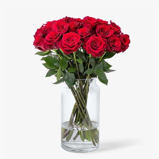 11 Rosas Rojas Premium