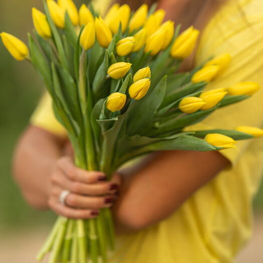 Tulipanes del amanecer