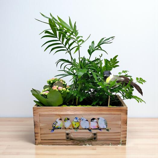 Caja natural con planta