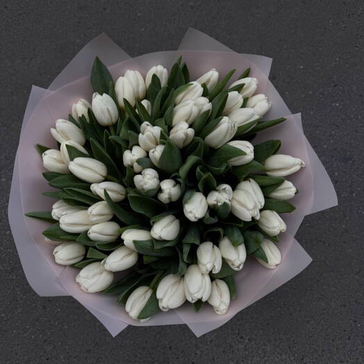 45 tulipanes blancos