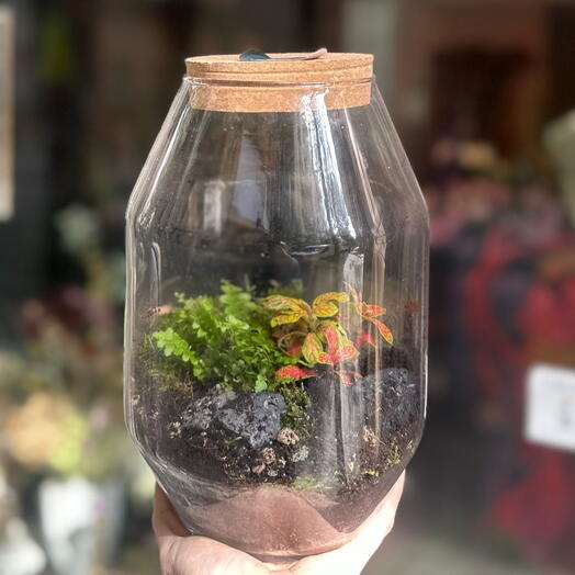 Terrarium Selva grande