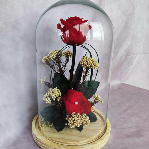 Cupula rosa preservada roja