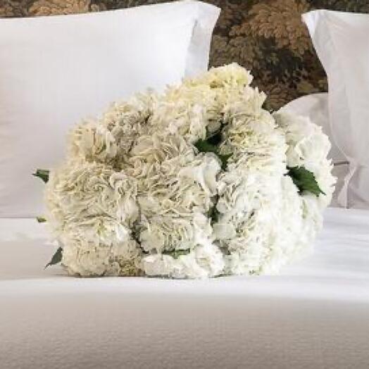 Bouquet de 10 hortensias