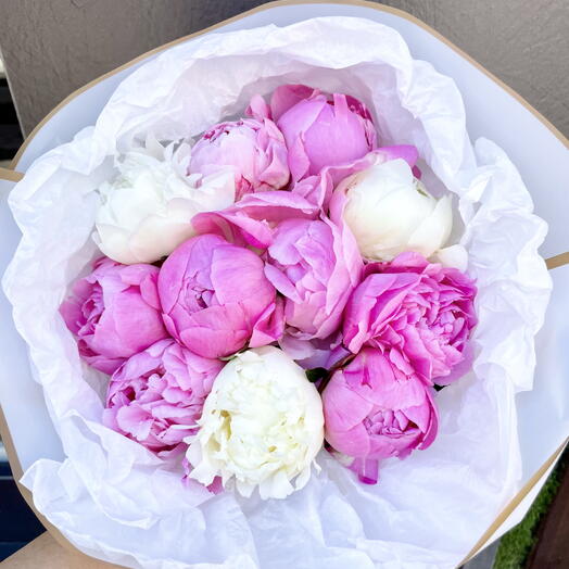 Ternura rosa