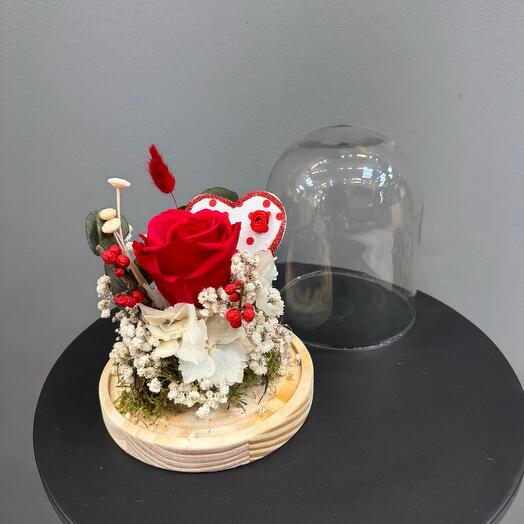 Centro Rosa preservada