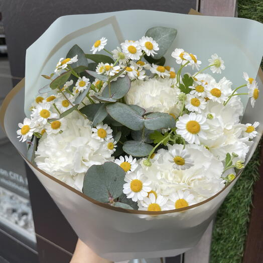 Primavera 🤍💛💚